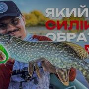 ВИДИ СИЛІКОНОВИХ ПРИМАНОК Рибальська школа Flagman Урок 14