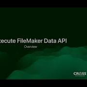 Execution Squad Do Even More With Execute FileMaker Data API