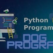 Dog Age And Human Age Program In Python