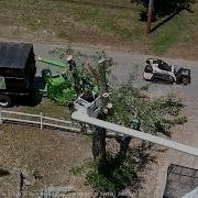 ATOM 3a Tree Surgeons 4