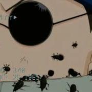 LIL DUSTY G INSECTS