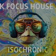 Peak Focus For Complex Tasks House Turtle Mix With Isochronic Tones