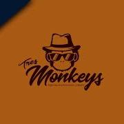 Coding Successfully Logo Animation Tres Monkey