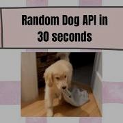 Random Dog API In 30 Seconds