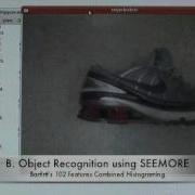 Object Recognition Using SIFT And SEEMORE