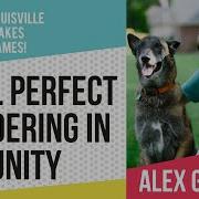 Pixel Perfect Rendering In Unity Part 1