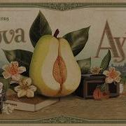 Ayva Çiçek Açmış Anatolian Psychedelic Rock Cover