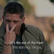Survivor Eye Of The Tiger сверхъестественное