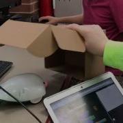 Finch Light Sensor