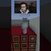 WALLIBEAR TAKES ON MOB ARENA Gaming Youtube Funny Minecraft Memes Tiktok Shorts Ytshorts