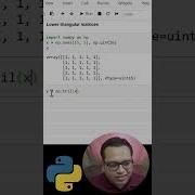 Python NumPy Lower Triangular Matrices Shorts