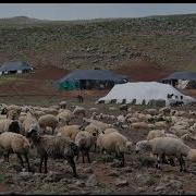 Ayibê Mistefê Ereb Malamin