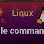 File Command In Linux Usage Of Regular Expressions Linux Command Line Tutorial