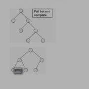 Types Of Binary Trees