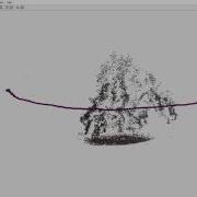 Sparse 3D Reconstruction Apple Tree