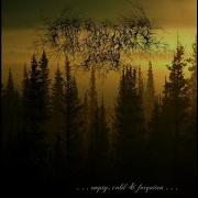 From The Sunset Forest And Grief My Suicide Path Album Empty Cold Forgotten