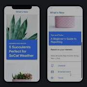 Ionic UI Components Card