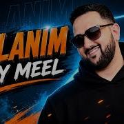 Jay Meel Dolanım