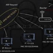 Kali Linux Создаем ARP запрос с помощью Scapy