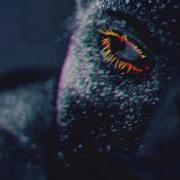 Michael Jackson Give In To Me DJ MUSIC VIDEO