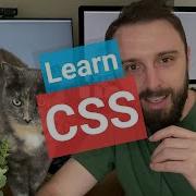 CSS Tutorial Basic Selectors And Styles