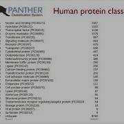 Variant Annotation And Effect Prediction Vasily Ramensky