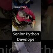 Junior Vs Senior Python Developer Pythonprogramming Shorts