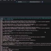 Build And Run Project