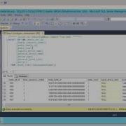 Data Domain Boost For Microsoft SQL Server 2012 Demo