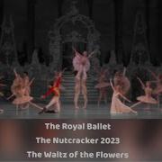The Royal Ballet The Nutcracker 2023 Waltz Of The Flowers