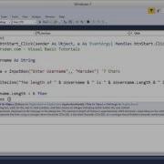 Strings And The Length Method In VB Net