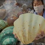 A Huge Sea Shell You Can Imagine How Big The Pearl Is Inside It