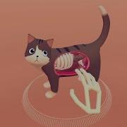 Cat Explorer