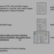 Pegasus Imaging Web Image Viewer Demo
