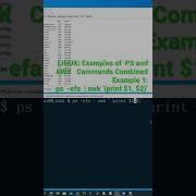 LINUX Examples Of PS And AWK Commands CombinedExample 1 Ps Efa Awk Print 1 2