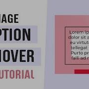 Image Caption On Hover Image Hover Effects CSS CSS Tutorial