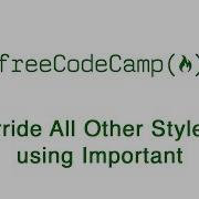 Basic CSS Override All Other Styles By Using Important FreeCodeCamp