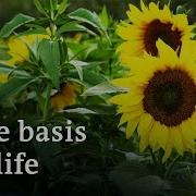 Working The Land For Our Climate Healthy Soil Healthy World DW Documentary