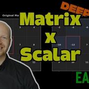 Deep ML 5 Scalar Multiplication Of A Matrix