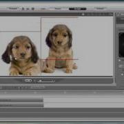 CrazyTalk6 Tutorial Stage Editor