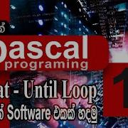 11 Make A Software Using Repeat Until Loop Pascal Programming SINHALA