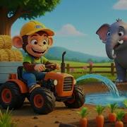 Funny Monkey Rides Elephant To Water The Carrot Farm