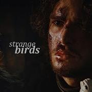 Jon Sansa Странные птицы
