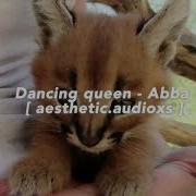 Dancing Queen Abba Ll Edit Audio