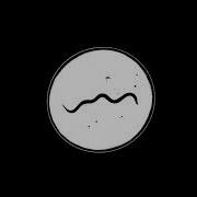 Parasite Title Sequence