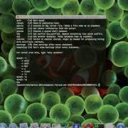 OpenShift SSH