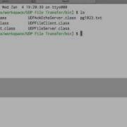 Run UDP Echo Server Client