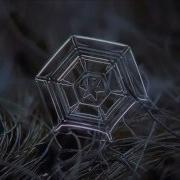 Snowflakes Under The Microscope