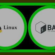 The MD5 Hash Value Is Different From Bash And PHP