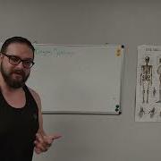Learn How To Design A Fitness Exercise Program Through Progressions And Regressions